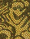 guna_race-tos-avspot25-closeup