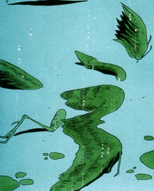 archeopteryx-dac-face-finalposition