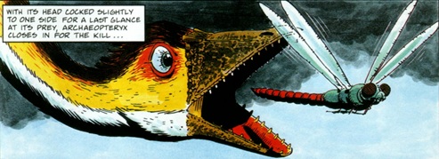 archeopteryx-dac-face-prof