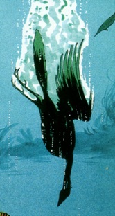 archeopteryx-dac-face-sinking