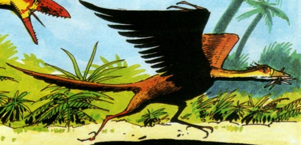 archeopteryx-dac-full-profile-run