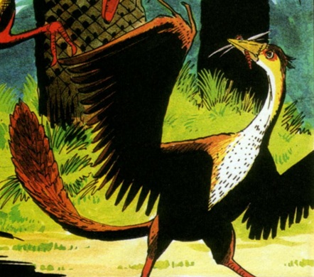archeopteryx-dac-fullish