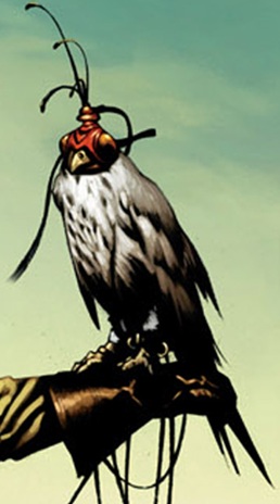 david-darktower-full-hooded