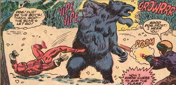 evans-andy-hf-flare-bear