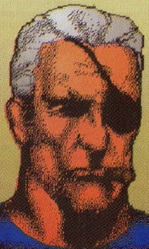 fury-nick-97082-face