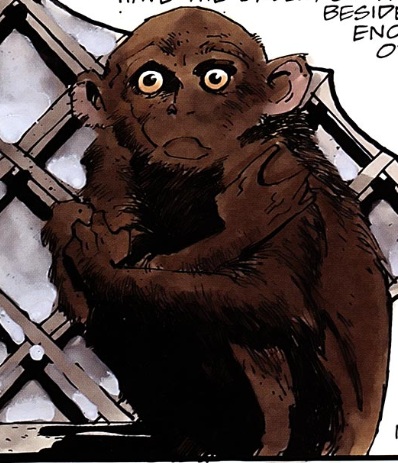 george-chimp-23199-pf2