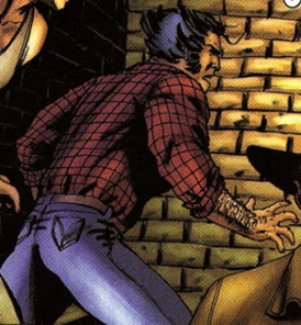 logan-87285-standob