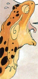 ray-81108-face-prof-yell