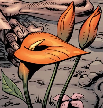 resurrection_lily-1m2L4-bloom