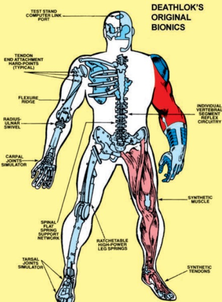 Deathlok the Demolisher - OHotMU skeleton diagram