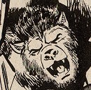 Werewolf-Glinsky, head shot