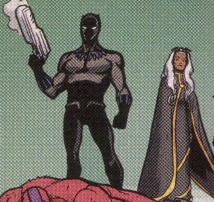 T'Challa and Storm avenge their son's death