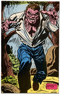 main image, von stahl is near a prey