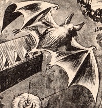 cunningham-martin-vampire-bat