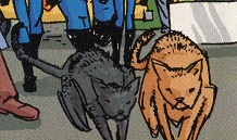 leighthekree-bs3-chipskrulls-cats